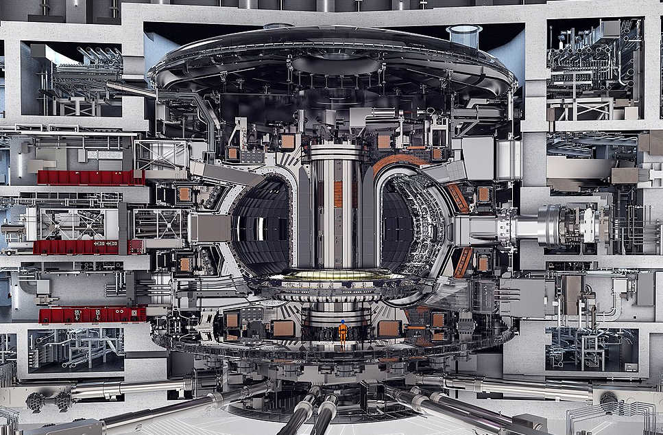 Plano del reactor nuclear de fusión ITER. El muro interior aguanta 2000 Grays (2 kGy) por segundo. Una muestra de Thermococcus gammatolerans podría resistir aproximadamente 15 segundos en el muro interior. Fuente.